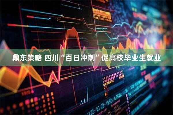 鼎东策略 四川“百日冲刺”促高校毕业生就业