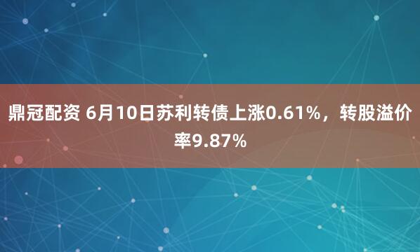 鼎冠配资 6月10日苏利转债上涨0.61%，转股溢价率9.87%