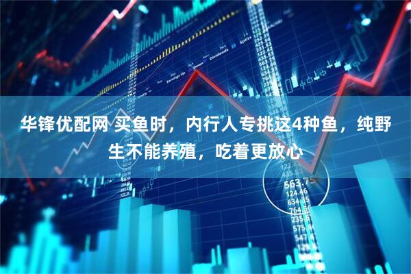 华锋优配网 买鱼时，内行人专挑这4种鱼，纯野生不能养殖，吃着更放心