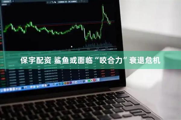 保宇配资 鲨鱼或面临“咬合力”衰退危机