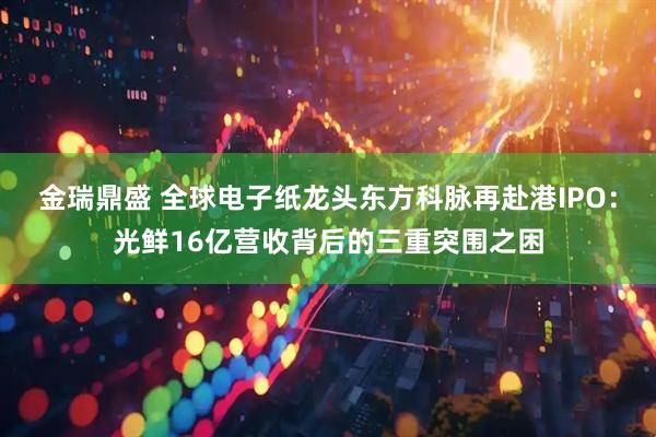 金瑞鼎盛 全球电子纸龙头东方科脉再赴港IPO：光鲜16亿营收背后的三重突围之困